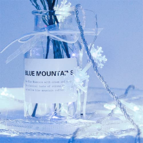 DomeStar Christmas Snowflake String Lights,9.8Ft 20 LED Battery Powered Christmas Fairy Lights Hanging Decor for Xmas Tree...