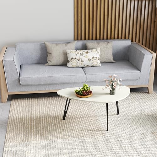 Manora Small Oval Coffee Table White, Modern Coffee Tables for Living Room, Office Coffee Table Small Space, Minimalist Ce...