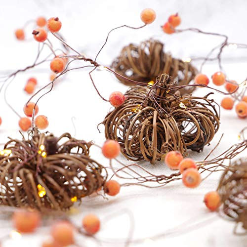 Rattan Pumpkin String Lights 10ft 30LEDs Fall Garland with Lights Battery Operated Fall Fairy Lights with Remote Pumpkin G...