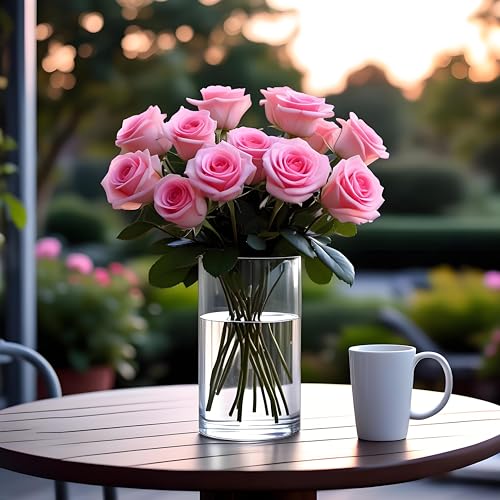 CYS EXCEL (H:12" D:6") Large Cylinder Clear Glass Vase for Wide Bouquet Flower Vase Centerpieces Display Hurricane Floatin...