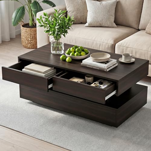 Coffee Table for Living Room, Modern Coffee Table with 2 Storage Drawers, 2 Tier Center Table Wood Coffee Tables with 20 C...
