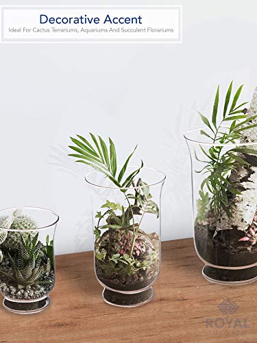 Royal Imports Hurricane Pillar Candle Holder, Clear Glass Flower Vase, Terrarium Planter, Decorative Centerpiece - Use for...