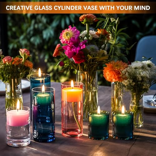48 Pack Thick Glass Cylinder Vases 4,6,9,12 Inch Tall Clear Flower Vase Hurricane Floating Candle Holder for Table Centerp...