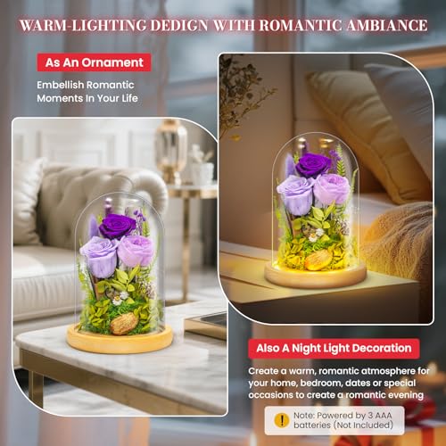 Forever Flowers Preserved Roses Prime Delivery For Women, Glass Dome Light Up Preserved Flowers , Christmas Anniversary Th...