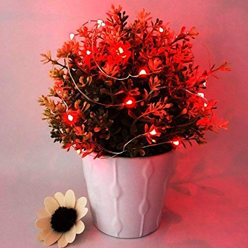 Fairy Lights Battery Operated (Included), 6.6ft 20 LED Mini String Light, Waterproof Silver Wire Firefly Starry Light for ...