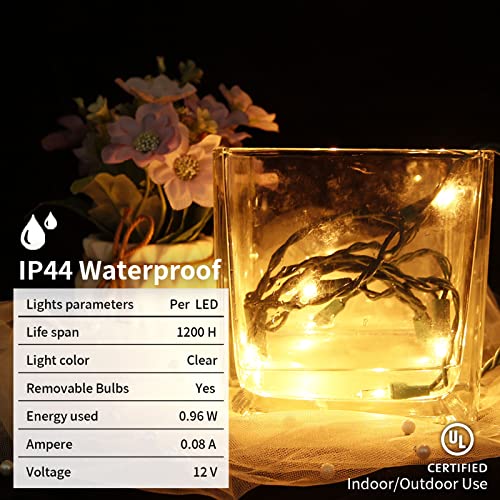 MULTI-SPARKING Christmas Lights 5Ft 10 Counts Classic Clear Incandescent Mini String Lights Green Wire Warm White for Indo...