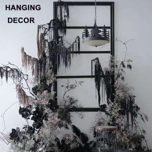 1 Bundle Dried Amaranthus Hanging Flowers Black Natural Preserved Flower for Wedding Arch Exhibition Wall Hanging Lover Te...