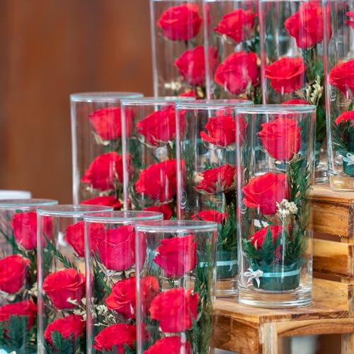 PATIKIL Glass Cylinder Vase, 2 Pcs 4.7" Tall and 3.3" Dia Flower Vase Floating Candle Holder Vase for Home Decor Wedding C...