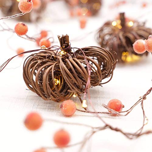 Rattan Pumpkin String Lights 10ft 30LEDs Fall Garland with Lights Battery Operated Fall Fairy Lights with Remote Pumpkin G...