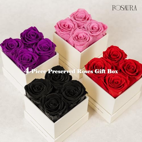 Rosaura 4-Piece Eternal Preserved Roses & Flowers Gift Box - Forever Lasting Real Roses, Preserved Flowers for Christmas, ...