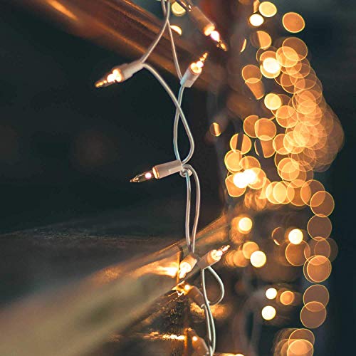Brightown 50 Count Warm White Christmas Lights, Clear Mini Incandescent Lights on White Wire, Christmas Tree String Lights...