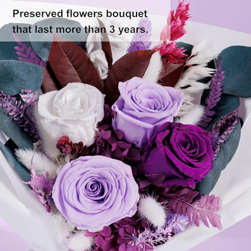 Bonsion Preserved Flowers Gifts for Women, Flower for Delivery, Purple Roses Gifts fo Her, Preserved Roses Bouquets, Birth...