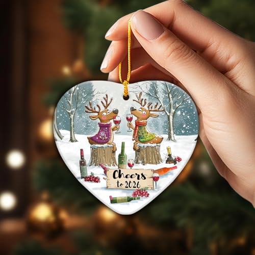 New Year Ornaments - Funny Xmas Gifts for Friends Coworkers Neighbors Family, Unique Ornament Exchange Ideas, Happy New Ye...