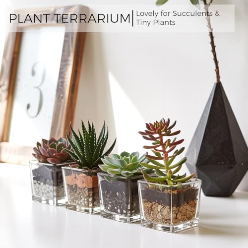 CONNOO 12 Pack Square Glass Vase 3" x 3" x 3", Clear Bulk Flower Vases for Centerpieces, Square Glass Cube Vase Floating C...