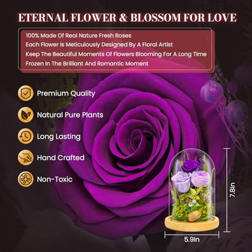 Forever Flowers Preserved Roses Prime Delivery For Women, Glass Dome Light Up Preserved Flowers , Christmas Anniversary Th...