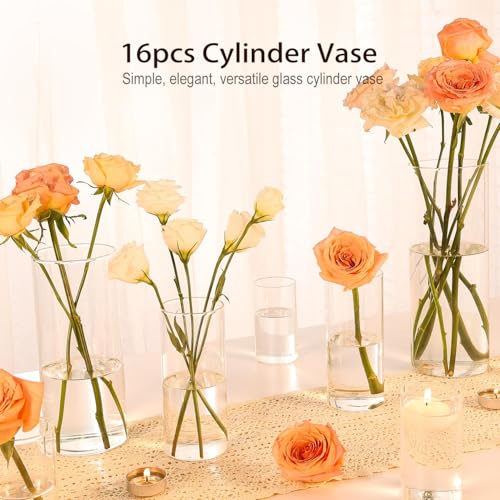 TBWIND 16 Pack Glass Cylinder Vases 4, 6, 8, 10 Inch Tall Clear Flower Vases for Table Centerpieces Wedding Decoration, Hu...