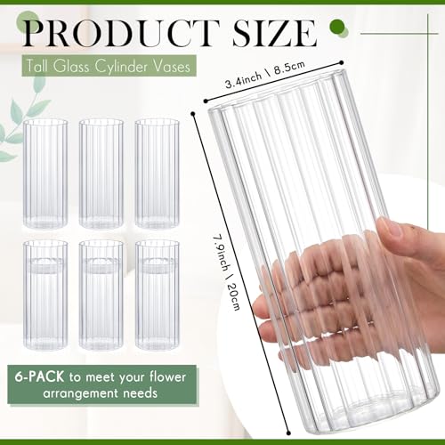 Ninehaoou 6 Pcs 8 Inch Tall Glass Ribbed Cylinder Vases Clear Floating Candle Flower Vase in Bulk, Hurricane Candle Holder...