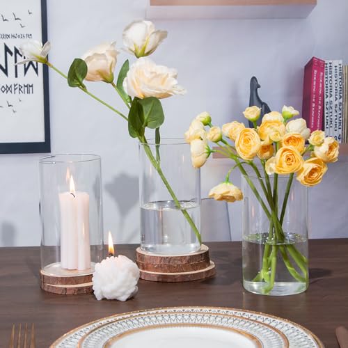 TBWIND 12pcs Glass Cylinder Vases for Centerpieces, 6 Inch Clear Flower Vases for Wedding Decorations and Indoor Home Deco...