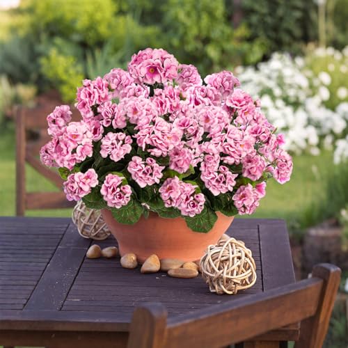 Uqueeten Plastic Flowers for Outdoors Home Decor Fake Plants Artificial Flowers Artificial Geraniums Outdoor Fake Flowers ...