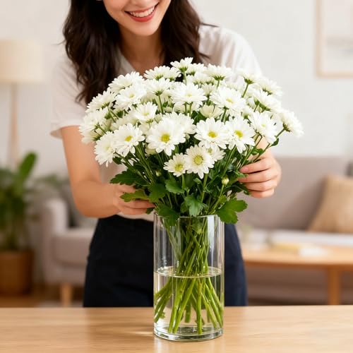 Clear Glass Cylinder Vases for Centerpieces,12pcs 6 inch Glass Candle Cylinders Bulk,Thick Bud Flower Vase & Floating Cand...