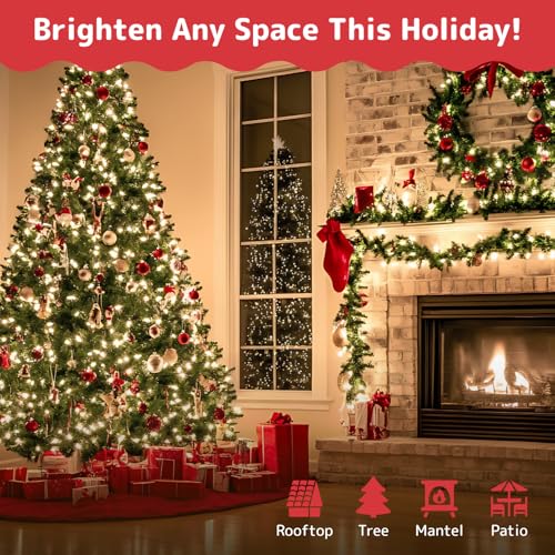 PREXTEX 100 Count Clear Christmas Lights - 20 ft Ultra Bright String Lights with Green Wire for Indoor and Outdoor Use, Ch...