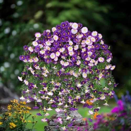 Lcuasc 2Pcs Outdoor Faux Hanging Flowers Artificial Morning Glory with Eucalyptus Leaves UV Resistant Look Real Fake Plant...