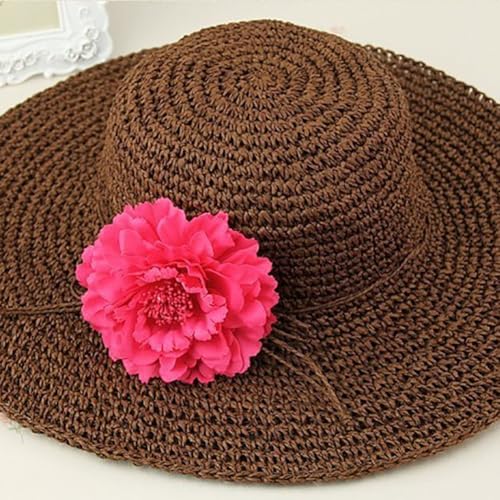 Koolgil Women's Bohemia Peony Flowers Hairpin Hair Clip Flower Brooch for Travel Party Festivals Set of 6 PF-11 (Black)