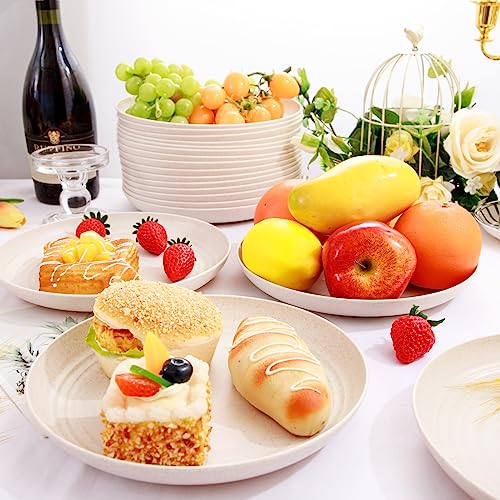 LIYH 20 Pcs Wheat Straw Plates - 9 Inch Unbreakable Dinner Plates - Dishwasher Safe Plastic Plate Reusable - Lightweight P...