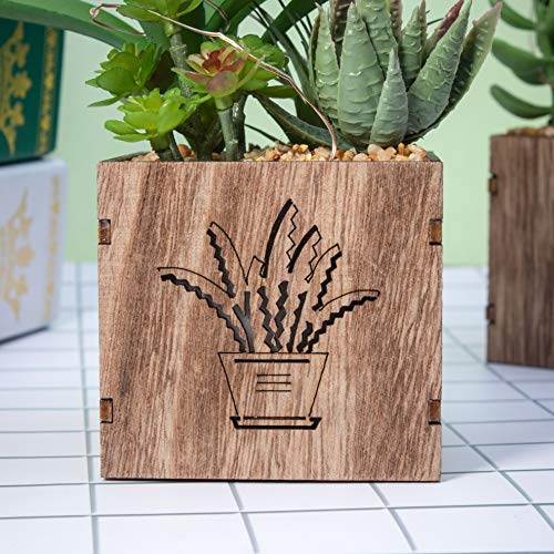 BEGONDIS Set of 3 Artificial Succulents with Led Lights in Wooden Box, Artificial Plants Plastic Fake Topiary for Home/Off...