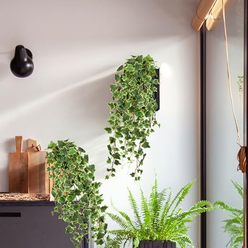 Hollyone 2pcs Artificial Hanging Plants 35.4" Fake Ivy Vine Faux Ivy Leaves Fire and UV Resistant Hanging Plant Wall Green...