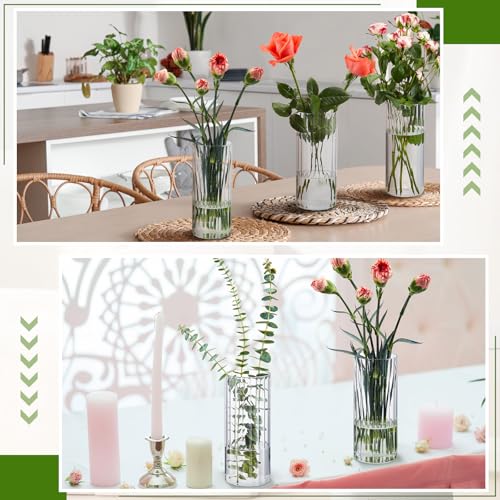 Ninehaoou 6 Pcs 8 Inch Tall Glass Ribbed Cylinder Vases Clear Floating Candle Flower Vase in Bulk, Hurricane Candle Holder...