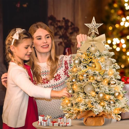 Mini Christmas Tree-with Lights,2ft Small Flocked Christmas Tree with 24pcs DIY Decorations,Small Flocked with LED Lights ...