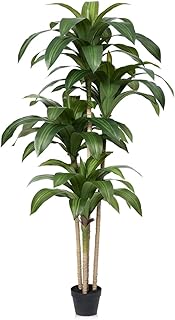 VeriNatural Artificial Dracaena Tree, 6FT Tall Fake Plants with UV Resistant Leaves, Faux Tropical Yucca Trees for Indoor ...