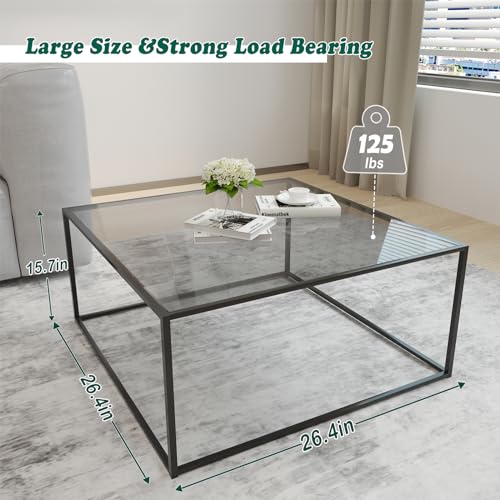 Glass Coffee Tables for Living Room Square Modern Center Table for Small Space,Tempered Glass-top with Sturdy Metal Frame ...