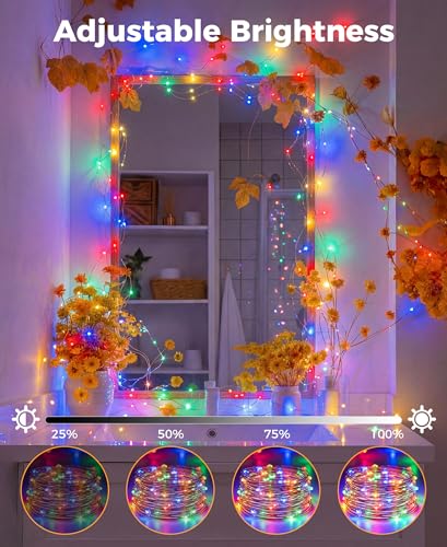 Fairdeer Plug-in Fairy Lights, 66 Ft 200 LED String Light with Remote, 8 Modes, Timer and Dimming Twinkle Lights for Indoo...