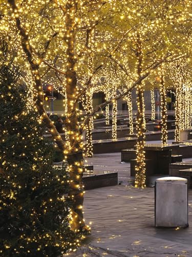 Twinkle Star Outdoor Christmas Lights Battery Operated 50 LED Mini String Light with 8 Modes, 16ft Waterproof Fairy Lights...