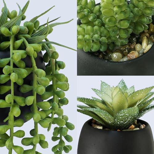 Winlyn Set of 3 Artificial Succulents Plants in Black Cement Planters Faux Potted Plants Aloe String of Pearls Donkey Tail...