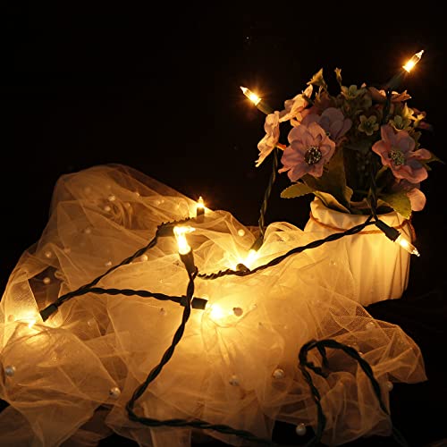 MULTI-SPARKING Christmas Lights 5Ft 10 Counts Classic Clear Incandescent Mini String Lights Green Wire Warm White for Indo...