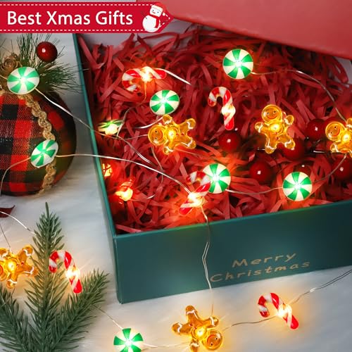 [Timer] 10 FT 30 LED Christmas String Lights Decorations Gingerbread Man Candy Cane Candy Fairy Lights Battery Operated Ch...