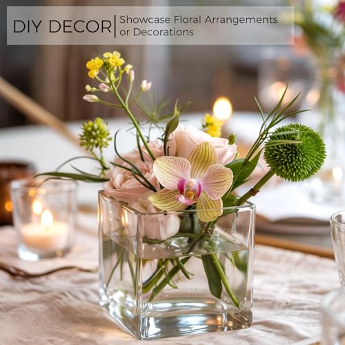 CONNOO 12 Pack Square Glass Vase 3" x 3" x 3", Clear Bulk Flower Vases for Centerpieces, Square Glass Cube Vase Floating C...