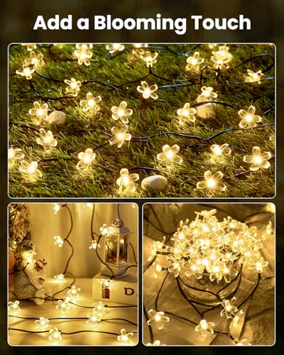 Brightown 2 Pack Total 52FT 120 LED Solar String Lights Flower Outdoor Waterproof Fairy Lights for Garden Yard Fence Patio...