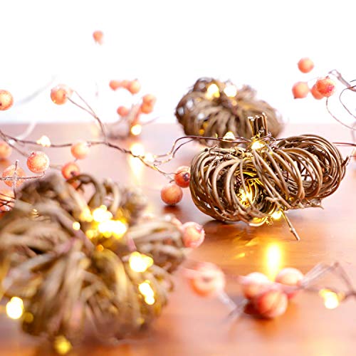 Rattan Pumpkin String Lights 10ft 30LEDs Fall Garland with Lights Battery Operated Fall Fairy Lights with Remote Pumpkin G...