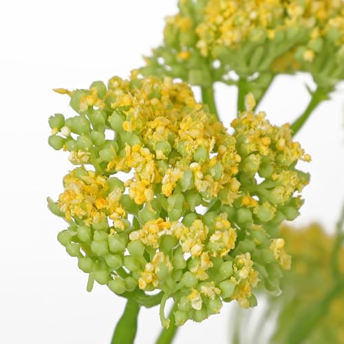 Nature Crafted 3PCS Wildflowers Artificial Flowers Silk Spring Flowers Summer Flower Patrinia Bouquet for Home Wedding Par...
