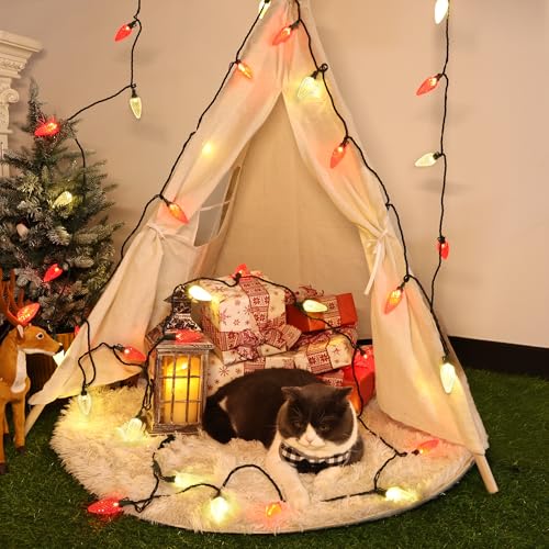 Brizled Red & Warm White C9 Christmas Lights, 33ft 50 LED Faceted Outdoor Christmas Lights, Connectable Xmas Tree Light, U...