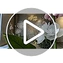 FineCheer 4 Pcs Wedding Giant Flowers Decorations 24 Inch 16 Inch 3D Large Silk Flowers Artificial Faux Floral Backdrop fo...
