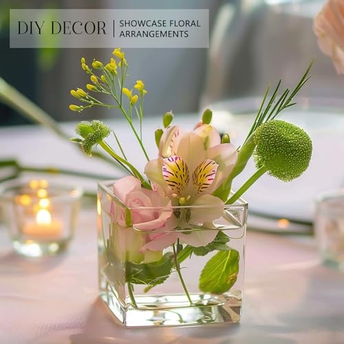 KEYWING 6 Pack Square Glass Vase 4" x 4" x 4", Clear Flower Vases for Centerpieces, Square Glass Cube Vase Candle Holder f...