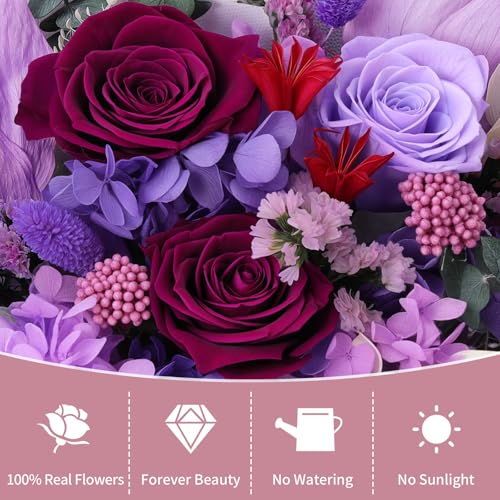 Lewondr Flower for Delivery, Preserved Flowers Bouquet, Purple Roses Bouquet, Real Long-Lasting Forever Birthday Flowers G...