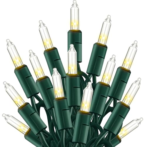 TW SHINE Warm White Christmas Lights Outdoor, 20FT 100 Count Incandescent Christmas Light Indoor, Waterproof Christmas Tre...