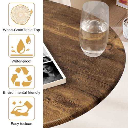 WDSHIYI Modern Coffee Table for Living Room Small Mid Century Coffee Tables Rustic Oval Coffee Tables Retro Accent Sofa Ce...