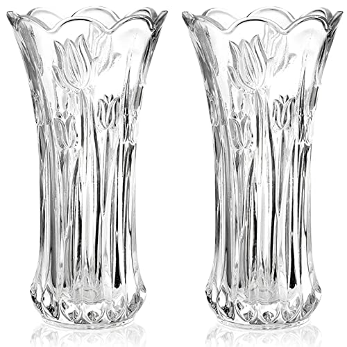 Dicunoy Set of 2 Glass Flower Vase, 9.5" Large Flower Vases for Centerpieces, Modern Clear Heavy Duty Crystal Tall Cylinde...